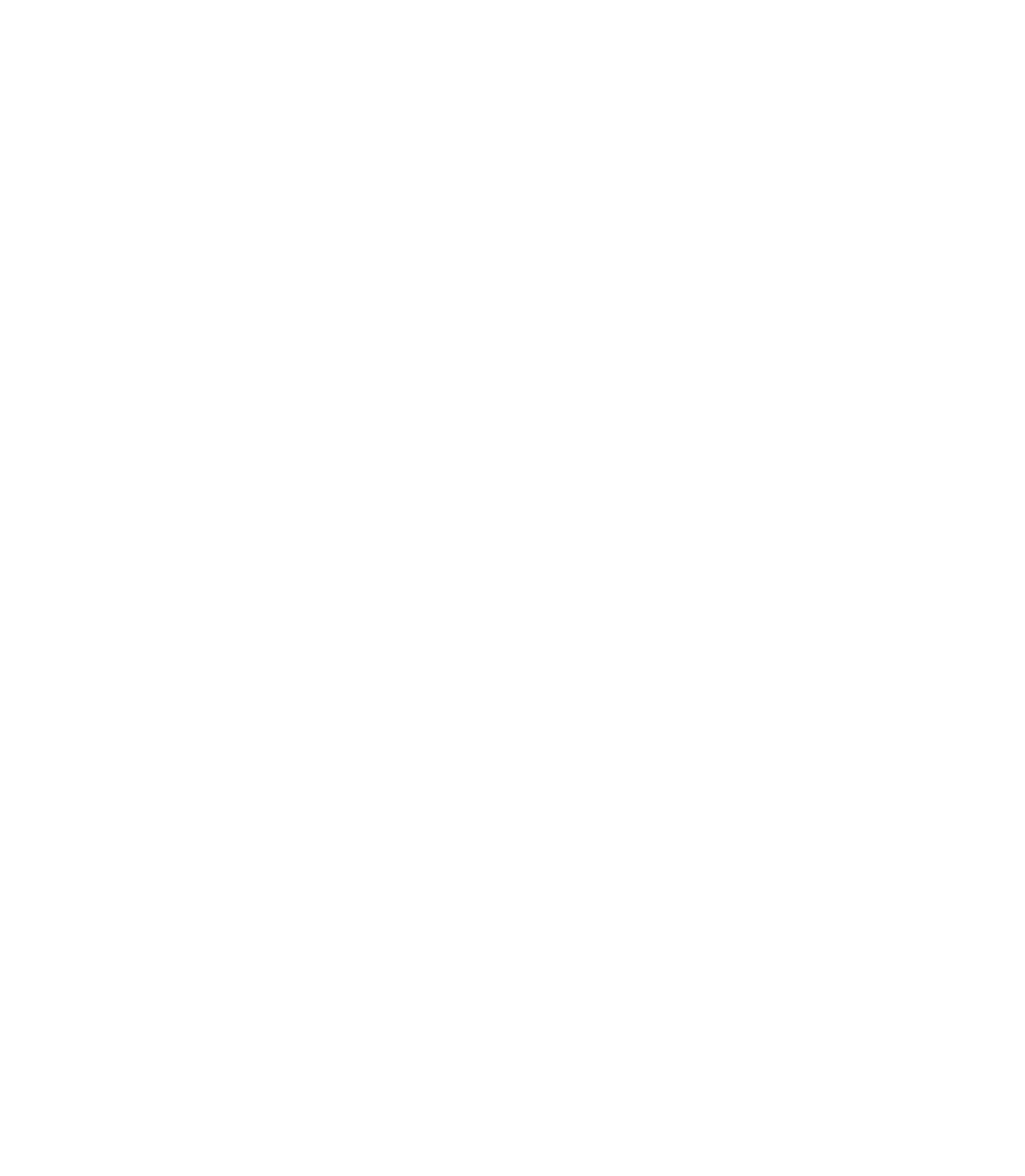 Logo VITIRNE GLOBAL